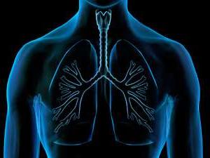 X-ray of lungs